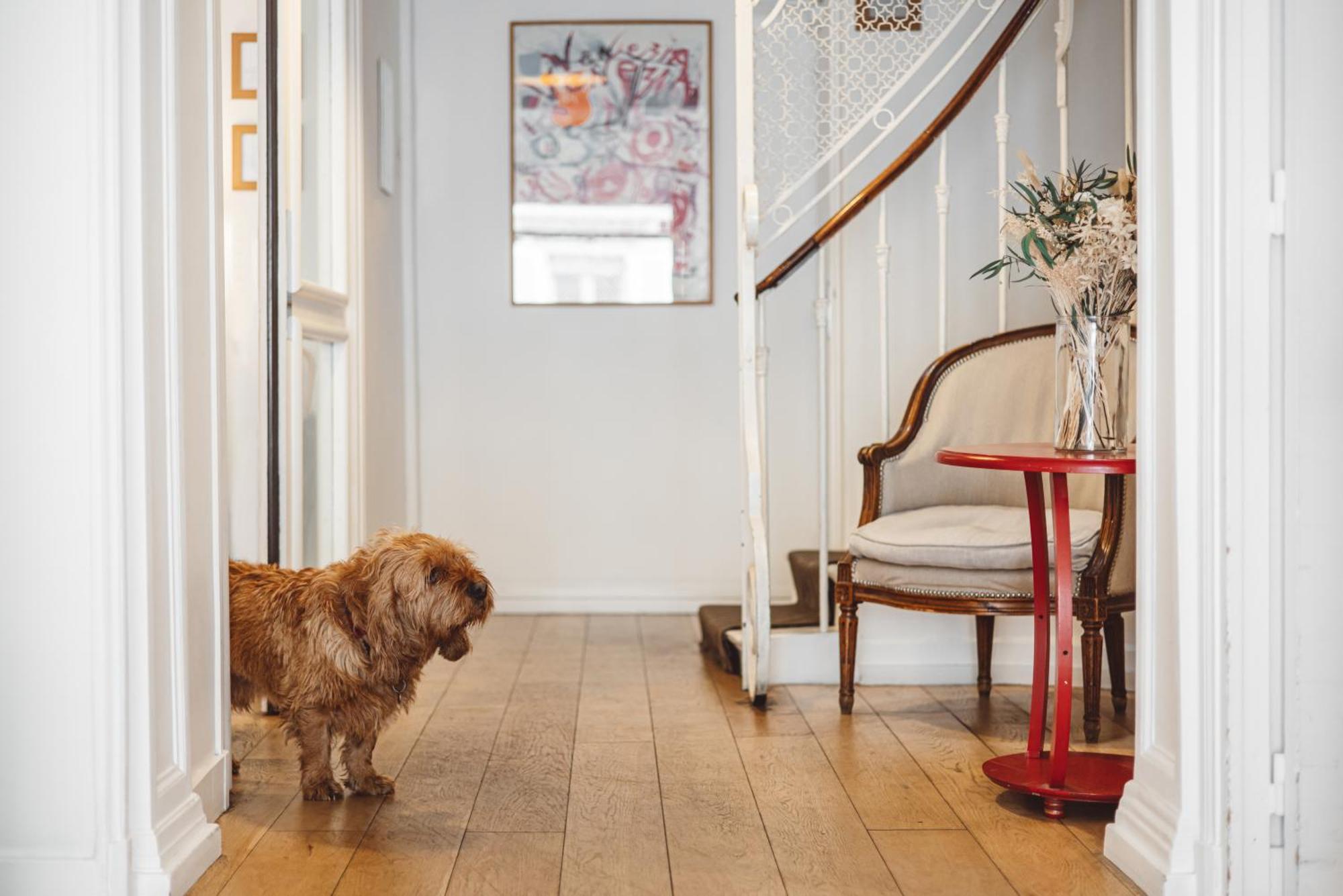 Arvor Saint Georges Paris